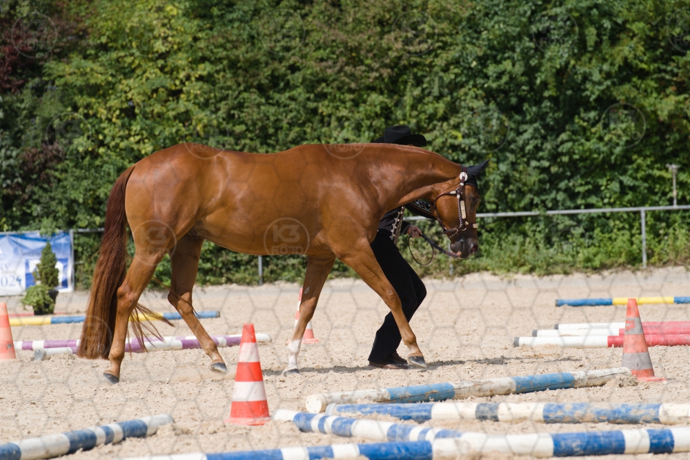 s_batch_A9_00144.jpg